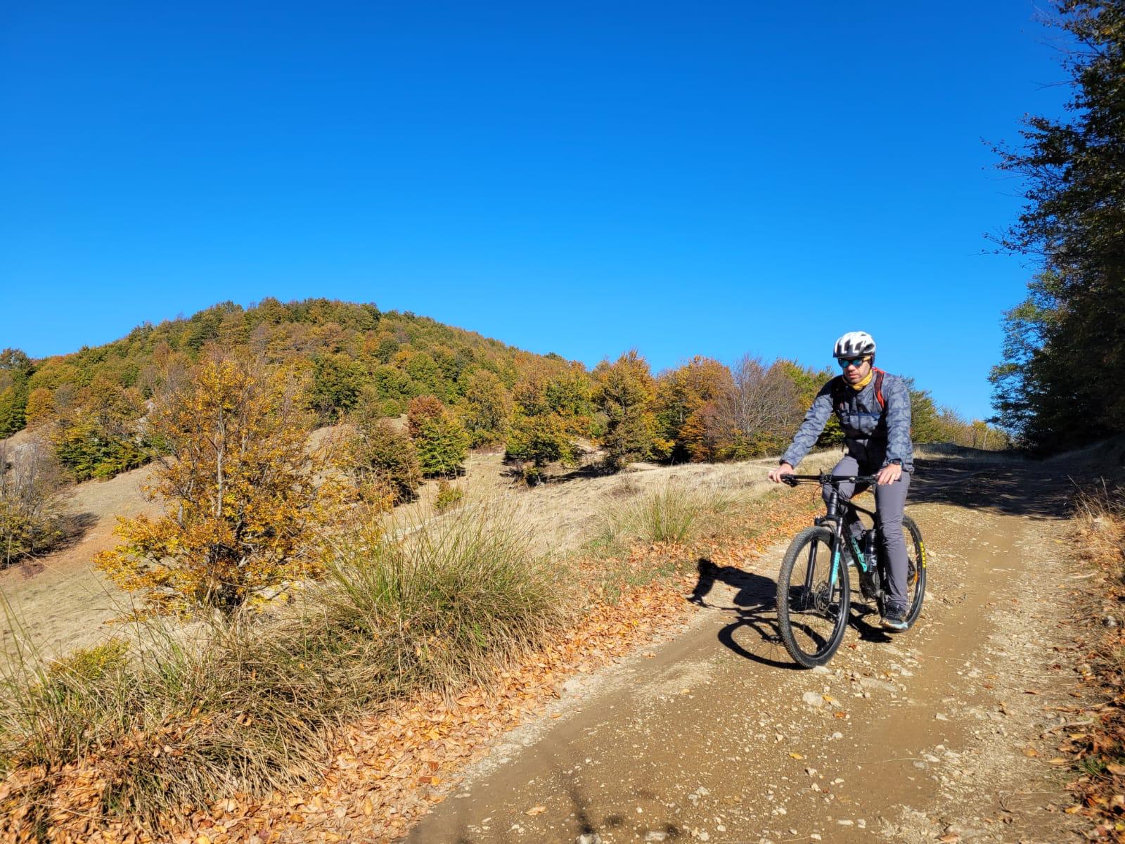 Cyclist wearing a helmet riding a mountain bike on a dirt trail through fall-colored trees under a clear blue sky.