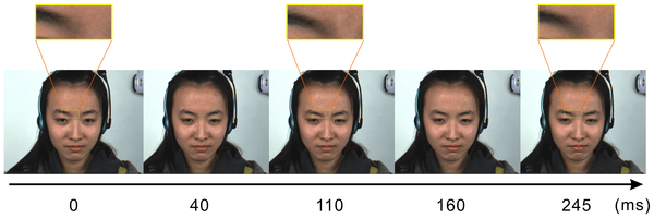 Business Travel Microexpression